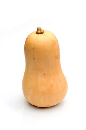 butternut squashの写真素材