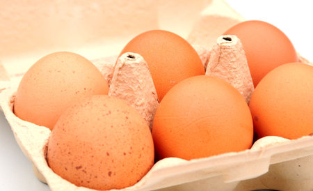 eggs