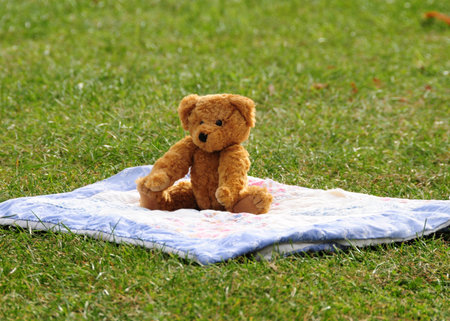 Picnic bearの写真素材