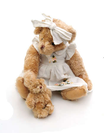  teddy and mother bearの写真素材