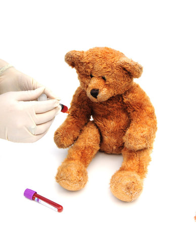 Bear having a blood testの写真素材