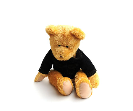 cool bear with denim jacketの写真素材