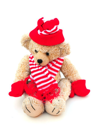 bear in knitted hat and scarfの写真素材