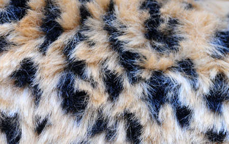 fur backgroundの写真素材