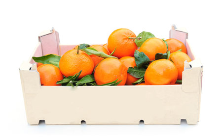 box of orangesの写真素材