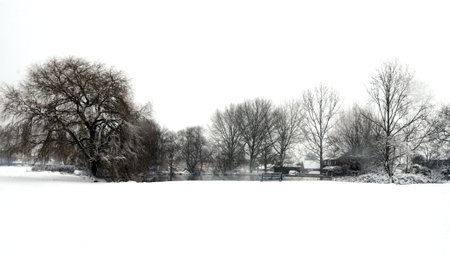 rural snow sceneの写真素材