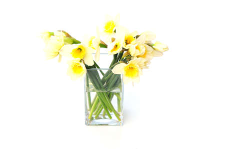vase of daffodilsの写真素材