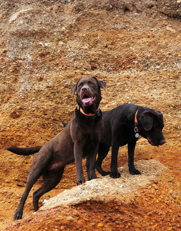 exploringの写真素材