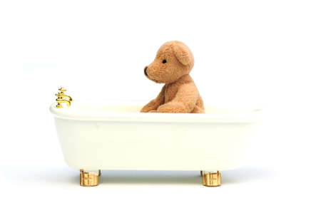 bathing bearの写真素材