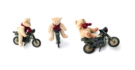 bears accidentの写真素材