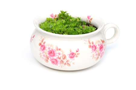 pretty containerの写真素材