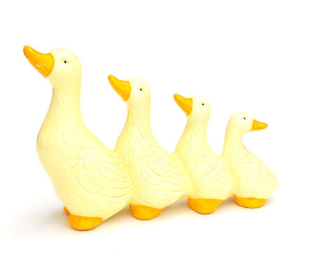 duck familyの写真素材