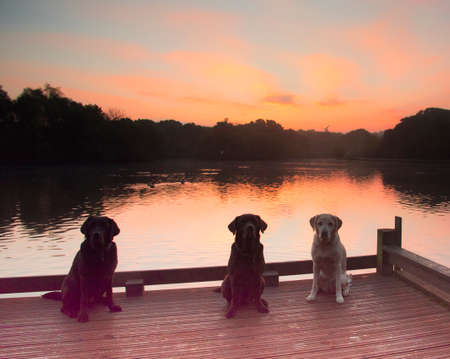 sunriseの写真素材