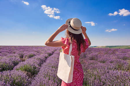 Young brunette girl in the lavender fieldsの写真素材