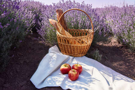 Wicker basket with bread and apples in the lavender fieldsの写真素材