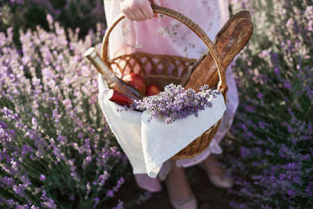 girl in the romantic dress with wicker basket with wine and bread in her hand looks for good place for picnicの写真素材