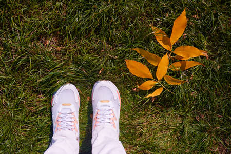 feet on green grass with yellow leaves with copy space. Top view fall background. woman legs in sneakers on withered grass.vacation or autumn holidaysの写真素材