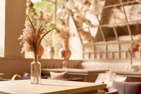 cafe interior design in light warm beige colors. shallow depth of field horizontal photoの写真素材