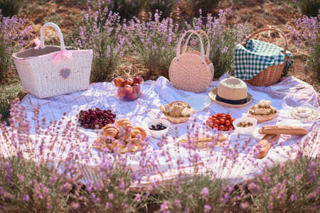 Picnic in lavender field at sunny day. Vacation and travel concept. Blanket, fruits, cheese and bread for picnic. Family vacation conceptの写真素材