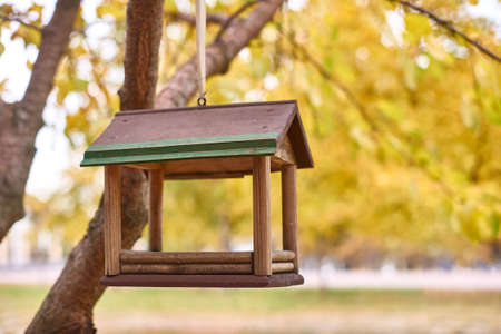 brown bird feeder hanging on tree branch with yellow leaves, autumn landscape. selective focus, background blurの写真素材