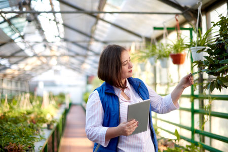 businesswoman farmer holding tablet check order purchasing, looking at plant in organic greenhouse farm garden. new innovation technologyの写真素材