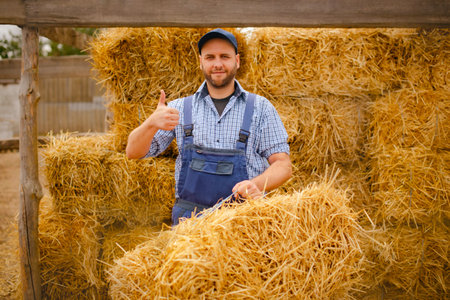 farmer man with thumb up holding hay bale while working in eco farm. harvesting hay for the winterの写真素材