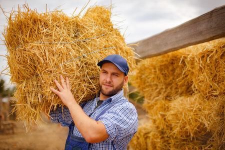 young bearded ethnic male farmer in working clothes carrying hay bale while working in countrysideの写真素材