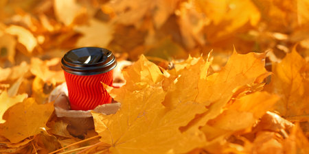 red paper cup of natural coffee in yellow fallen leaves in fall park backgroundの写真素材