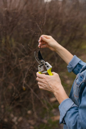 woman gardener holding pruners and cutting leafless bushes in garden. vertical photo