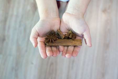 The child holds in his hands a stick of cinnamon, allspice, ginger, star anise, nutmeg, cardamom, clovesの写真素材
