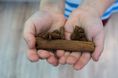 The child holds in his hands a stick of cinnamon, allspice, ginger, star anise, nutmeg, cardamom, clovesの写真素材