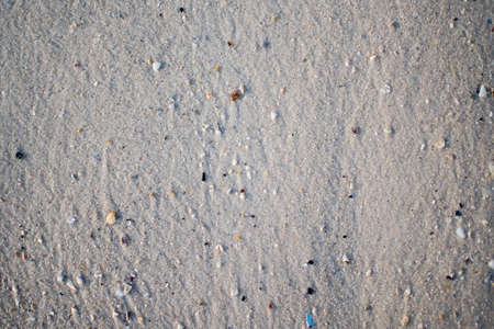 Top view of sandy beach. Background with copy space and visible sand texture.の写真素材