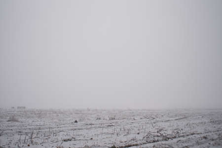 The fog in the winter, mystical atmosphere, space for textの写真素材