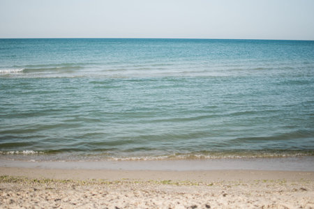Beautiful tropical beach and sea in maldives island with coconut palm tree and blue skyの写真素材
