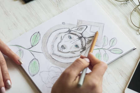 A girl is painting with pencils Husky on a white sheetの写真素材