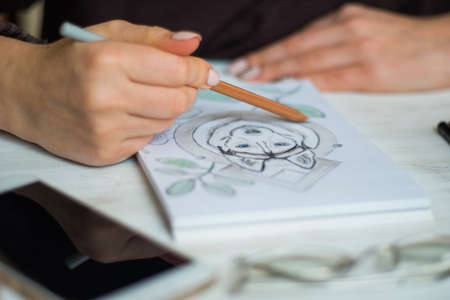A girl is painting with pencils Husky on a white sheetの写真素材