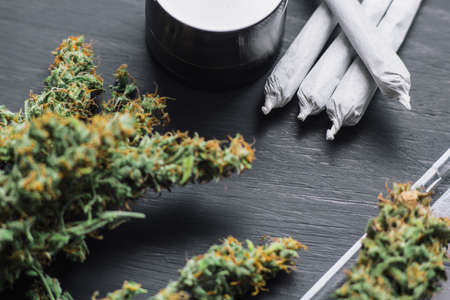 Cones of cannabis flowers lie on the scales close upの写真素材