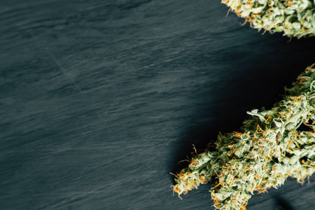 Background of dark wood with cannabis flowers of marijuana weed copy space