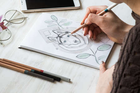 A girl is painting with pencils Husky on a white sheetの写真素材