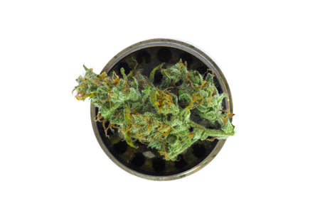 Metallic gray grinder with buds of marijuana, weed cannabis isolated on white background top view medical use THC and CBDの写真素材