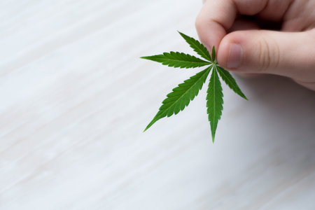 Smiling kid child holding a hemp leaf. Concepts of using marihuna for medicinal purposes for children, Medical use of non-psychoactive cannabidiol CBDの写真素材