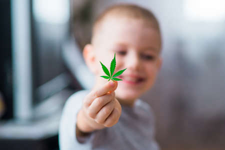 Smiling kid child holding a hemp leaf. Concepts of using marihuna for medicinal purposes for children, Medical use of non-psychoactive cannabidiol CBDの写真素材