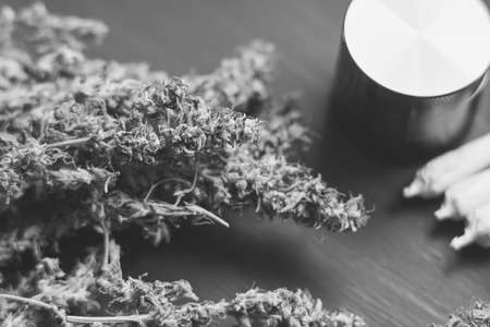 Cones of cannabis flowers lie on the scales close upの写真素材