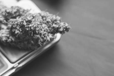 Cones of cannabis flowers lie on the scales close upの写真素材