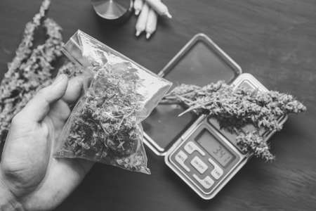 Cones of cannabis flowers lie on the scales close upの写真素材