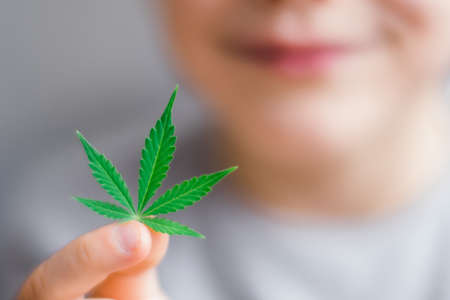 Smiling kid child holding a hemp leaf. Concepts of using marihuna for medicinal purposes for children, Medical use of non-psychoactive cannabidiol CBDの写真素材