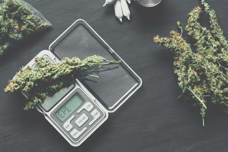 Cones of cannabis flowers lie on the scales close upの写真素材