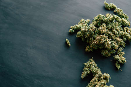 Background of cannabis flowers with trichomes on with a dark background copy space close upの写真素材