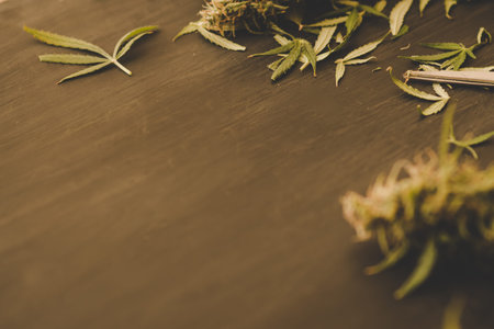 Large buds of fresh cannabis on a black background of a wooden