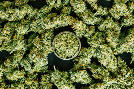rolled joint with marijuana against the background of fresh cones of cannabis flowers close upの写真素材